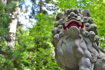 狛犬（日本の神社）
