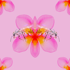 Beautiful seamless pattern flower and bee, digital design pink flower and bee image on pink background, simple looks, design for wallpaper background.