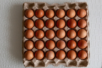 Cell of brown chicken eggs top view
