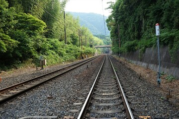 Fototapeta premium Railway over Bamboo Grove in Arashiyama, Kyoto prefecture, Japan - 京都 嵐山 線路と竹林の小径 