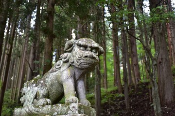 Fototapeta na wymiar 狛犬（日本の神社）