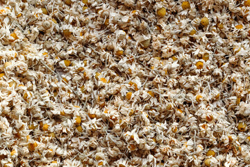 Heap of dried chamomile, concept of healthy nutrition, herbalism and alternative medicine.Place for text