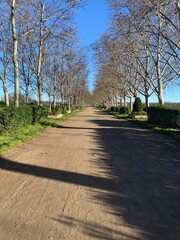Nature