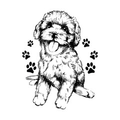 Black dog t-shirt, Dog Shirts, T-Shirts and Tank Tops for Dogs and Puppies