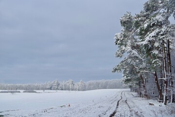 Winterlandschaft