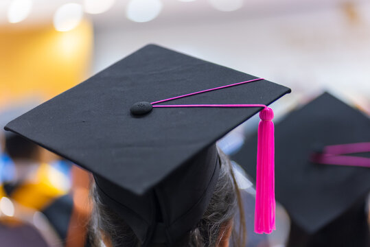 The back of the graduates are walking to attend the graduation ceremony at the university.