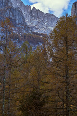 Autumn foliage in the mountain landscape