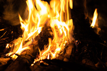 Fire flames on a black background. Abstract fiery texture. Realistic fire flames burn movement frame. Texture for Design. The texture of fire. Fire flames background. Blazing campfire. Sensitive focus