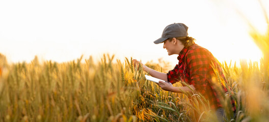 A woman farmer examines the field of cereals and sends data to the cloud from the tablet. Smart...