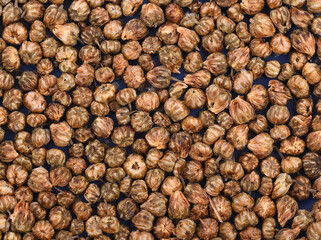 Spices and herbs being sold on street stal at Morocco traditional market
