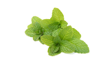 Fresh spearmint isolated on white background. Mint, natural medicine, peppernint