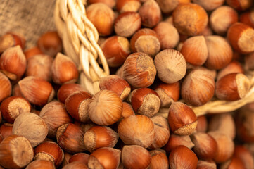 Hazelnuts in a wicker basket and loose nuts. It's time for the autumn harvest. Close-up, selective focus.