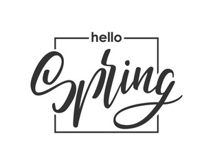 Handwritten lettering composition of Hello Spring. Hand drawn modern brush calligraphy design.