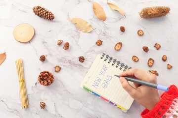 Fototapeta na wymiar women hand writing new year goals on paper 