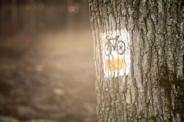 Żółty szlak rowerowy - znak, piktogram informacyjny na drzewie - obrazy, fototapety, plakaty