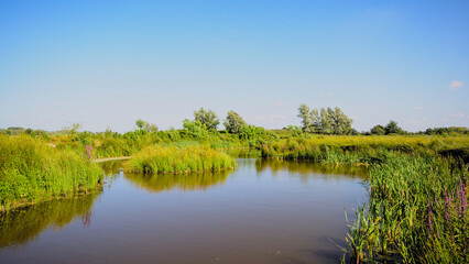 Creek through a sunny green field with trees in Kalkense Meersen nature reserve, Flanders, Belgium