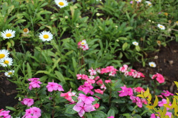 Fototapeta premium Mucugê Chapada da Diamantina