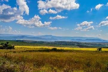 Fototapeta na wymiar Panorama route Mpumalanga landscape