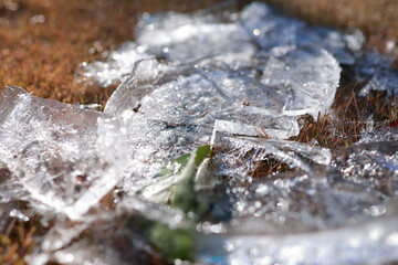 冬の朝, 庭にできた氷