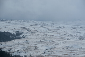 Caucasian Reserve of Russia in winter. Power and majesty of nature. Coniferous dark green forest in distance and high snowy mountains in background.