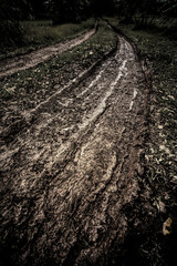 Tyre track on dirt sand or mud, Picture in retro or grunge tone. Car drive on sand. off road track. Track on grass field. Track in farm.