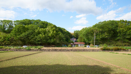 田と農家 里山 日本