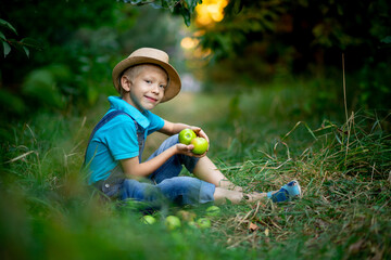 a six-year-old boy sits on the grass in an Apple orchard and holds an Apple in his hands