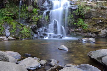 Photograph of a waterfall in forest