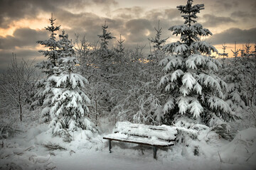 snow covered bench Winterberg Germany