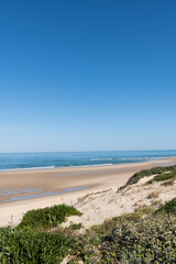 BISCARROSSE (Landes, France), vue sur la plage
