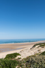 Fototapeta na wymiar BISCARROSSE (Landes, France), vue sur la plage