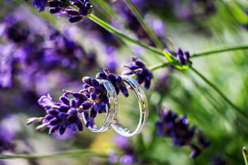 Wedding rings macro photography