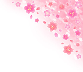 Fototapeta premium 満開の桜フレーム ピンク