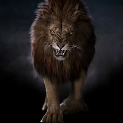 Zelfklevend Fotobehang lion © Narinder