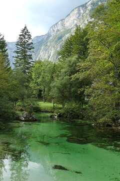 River Sava Bohinjka, Bohinj, Slovenia