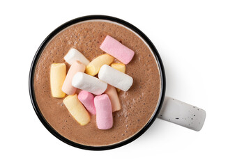 Cup of hot chocolate with marshmallow