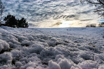 winter landscape with snow