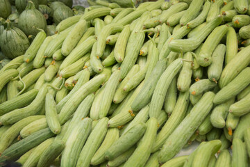 A pile of fresh Armenian cucumber (Cucumis melo var. flexuosus) for sale in the Mahane Yehuda market, Jerusalem, Israel
