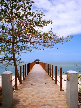 Penang National Park