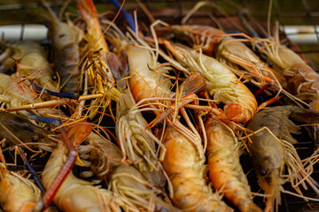 The grilled shrimp on the stove are about to be ready to eat.