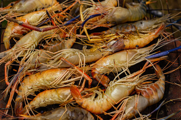 The grilled shrimp on the stove are about to be ready to eat.