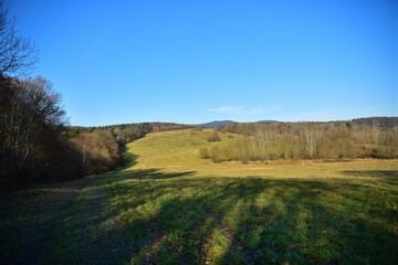 Fototapeta na wymiar Panorama of white blue sky over forest greenery in sunny autumn