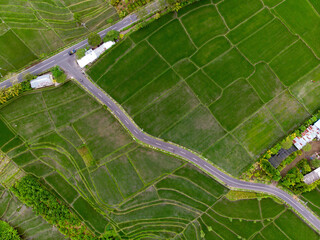 Aerial Shot Rice Fields - Bali Indonesia