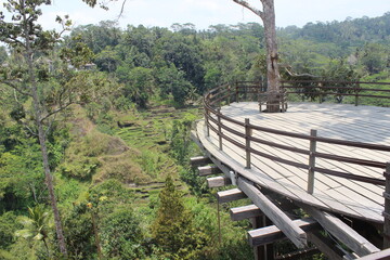Fototapeta na wymiar Wooden bridge over the forest