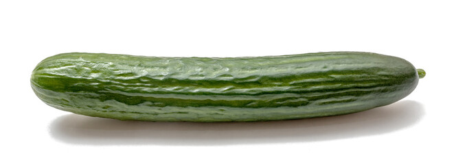 Cucumber isolated on a white background. Green vegetable for salad and food.