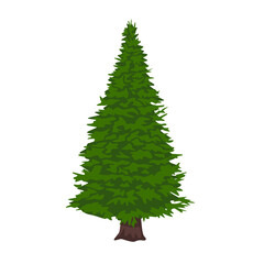 New Year tree isolated on white background.  There is a place for an inscription.  Winter mood