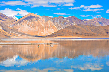 Beautiful view of Pangong Tso Lake and mountain with the background of blue sky
