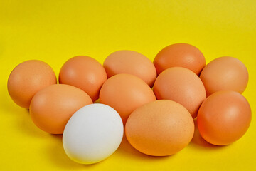 Chicken eggs on a yellow background are brown and white.