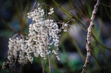 Natuurgebied Meinerswijk Arnhem