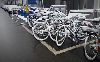 bicycles covered with snow on the street